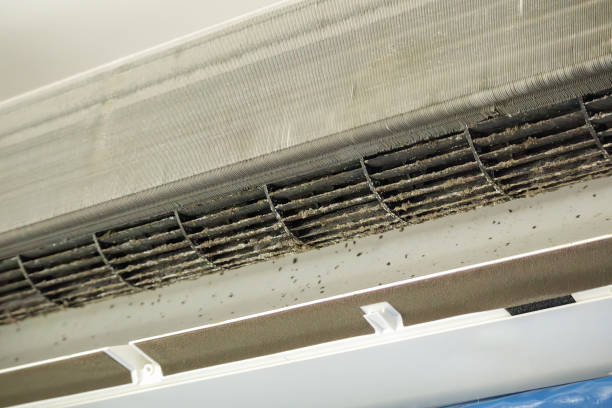 Best HVAC System Cleaning  in Towanda, PA